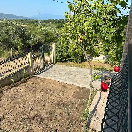 Villaralli