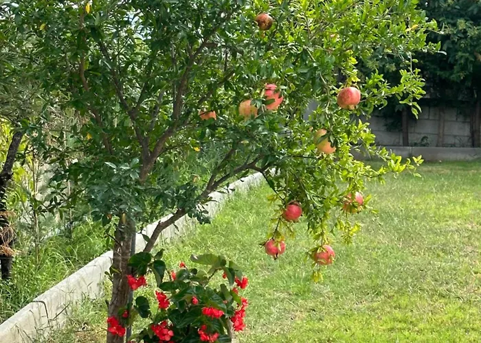 Villaralli * Vrasná